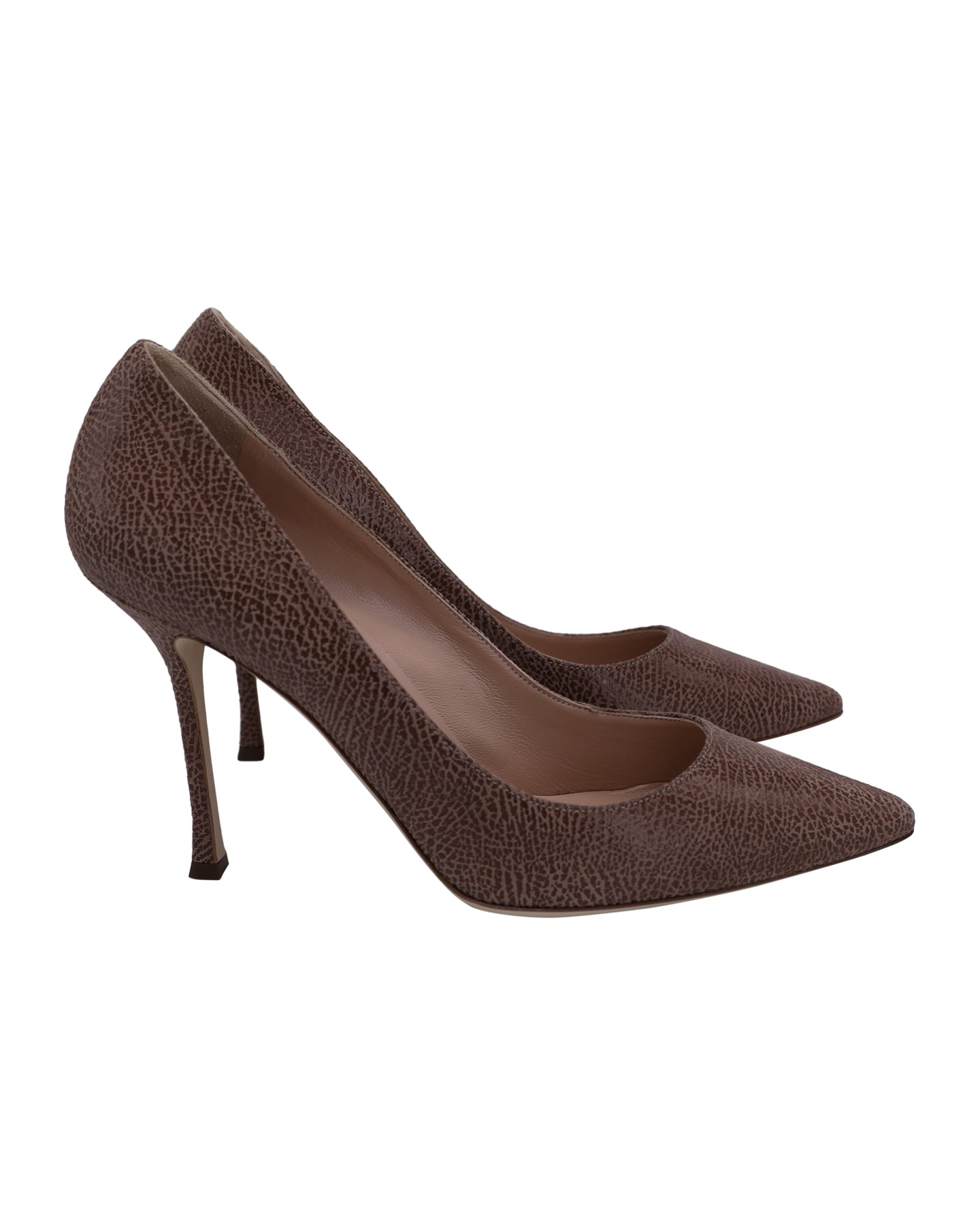Sergio Rossi Secret 100 Pumps in Brown Leather